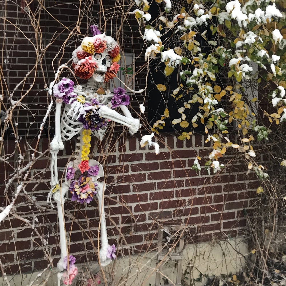 Meet your Posher, Blair